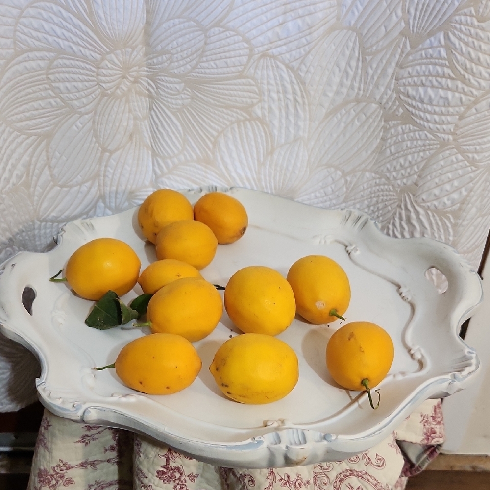 Lenox Swedish Lodge Wood Tray | Distressed Scalloped 19" - Picture 11 of 13